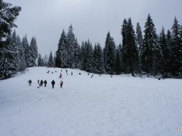 Biharfüredi szánkótúra a BEG Barangolókkal
